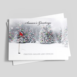Winter Colors Holiday Card